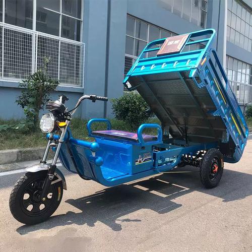 電動(dòng)三輪車?yán)泿镛r(nóng)用貨運(yùn)載貨翻斗三輪車擺攤快遞車